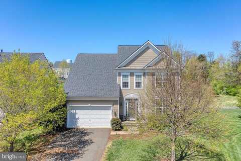 Snowbush, CULPEPER, VA 22701