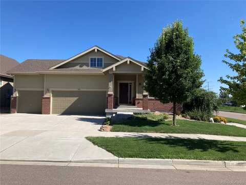 Nadine, LONGMONT, CO 80504