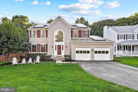 Baron, STAFFORD, VA 22554
