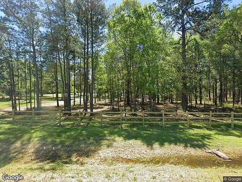 Ga Highway 65, PELHAM, GA 31779