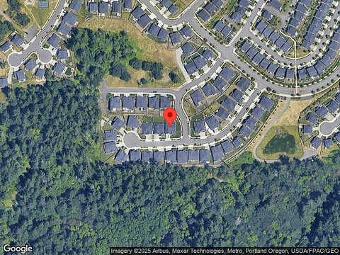 Pecan, CAMAS, WA 98607