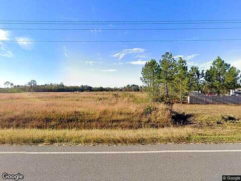 Sunflower, LUDOWICI, GA 31316