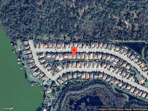 Amelia Rose, LAND O LAKES, FL 34637
