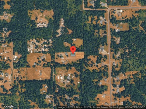 Frenchie, YELM, WA 98597