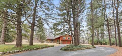 Robin, DELAFIELD, WI 53018