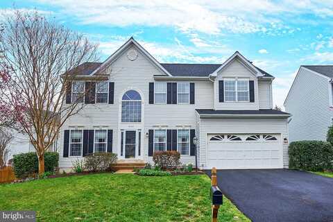Dartford, BRISTOW, VA 20136