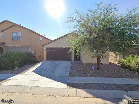 Amazilia, TUCSON, AZ 85757