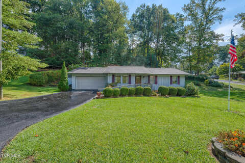 Pin Oak, BRISTOL, VA 24202