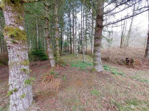 Iowa Heights, SEDRO WOOLLEY, WA 98284