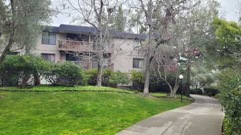 Shelter Creek, SAN BRUNO, CA 94066