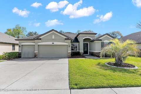 Tierra, SPRING HILL, FL 34609