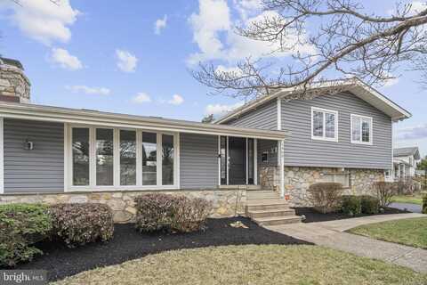 Hemlock, Black Horse, PA 19403