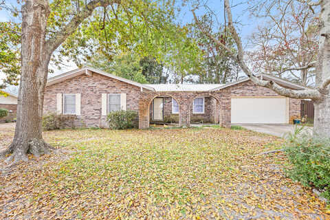 Rattan Palm, NICEVILLE, FL 32578
