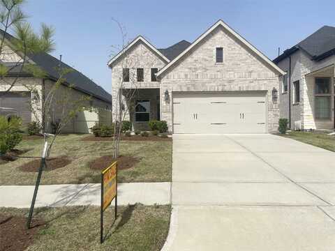 Tree Of Heaven, CONROE, TX 77385