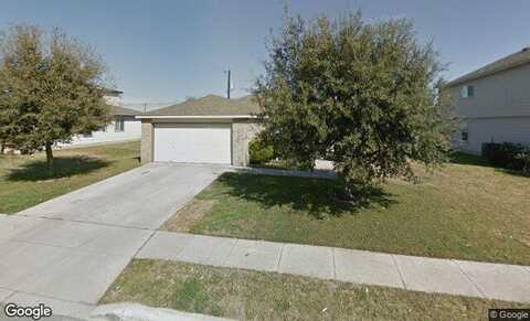 Clydesdale, SCHERTZ, TX 78154