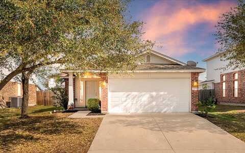 Falling Stone, PFLUGERVILLE, TX 78660