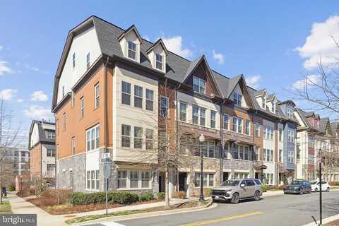 Quinn, ARLINGTON, VA 22204
