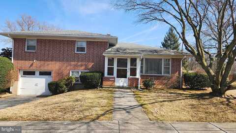 Maple, CORNWALL BOROUGH, PA 17042