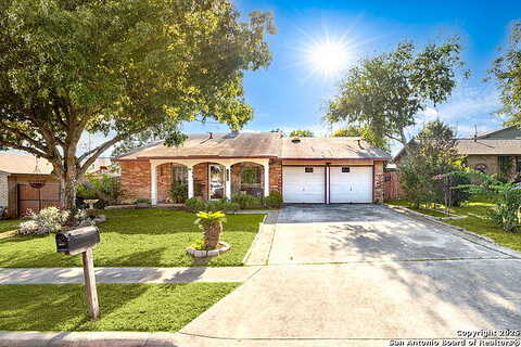 Champion Oak, LIVE OAK, TX 78233