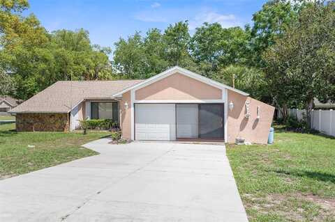 Paco, SPRING HILL, FL 34609