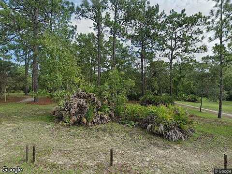 Long Lake, WEEKI WACHEE, FL 34613