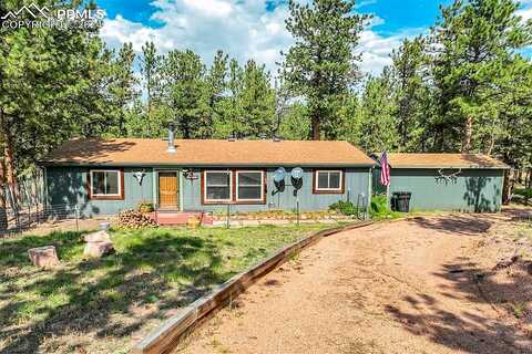 Paint Brush, FLORISSANT, CO 80816