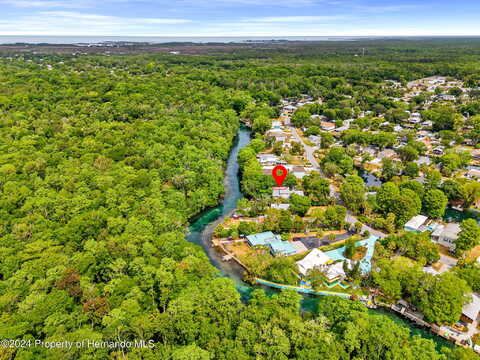 Richard, WEEKI WACHEE, FL 34607