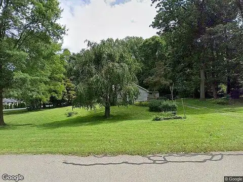 Camelia, HOLTWOOD, PA 17532