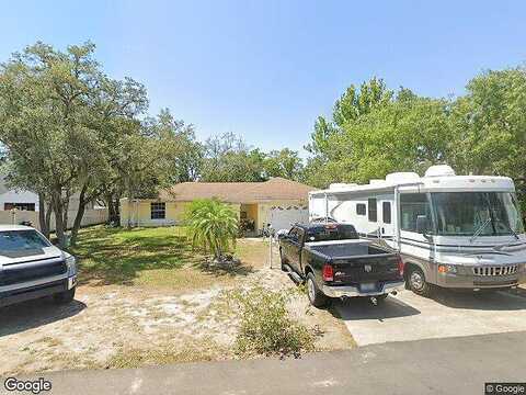 Baffin, SPRING HILL, FL 34606