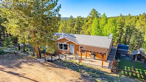 Badger, FLORISSANT, CO 80816