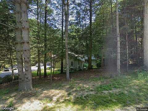 White Pine, ORRTANNA, PA 17353