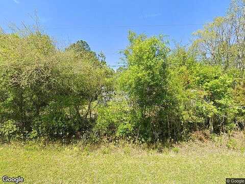 Acorn, BUNNELL, FL 32110