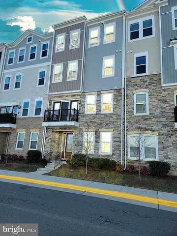 Berkley Hill, ALDIE, VA 20105