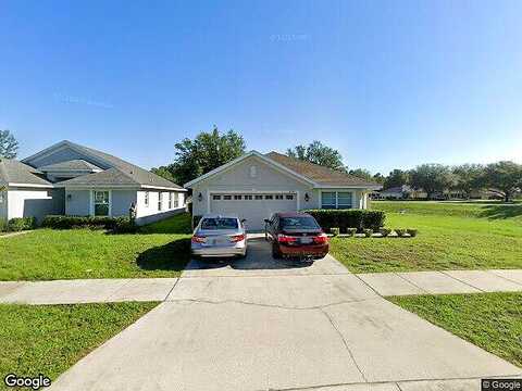 Water Lily, BROOKSVILLE, FL 34602