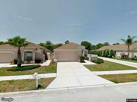Royal Palm, SPRING HILL, FL 34608