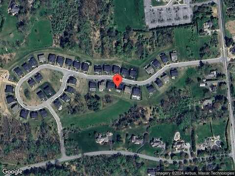 Lily, KENNETT SQUARE, PA 19348
