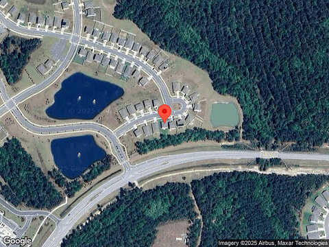 Daffodil, BLOOMINGDALE, GA 31302