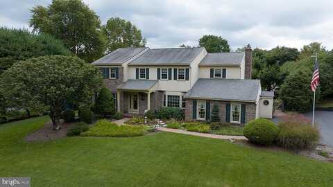 Tulip, WEST CHESTER, PA 19380