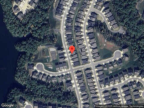 Cowbird, LAKE FREDERICK, VA 22630