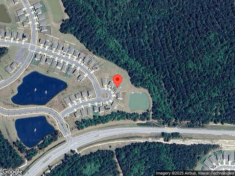 Pipit, BLOOMINGDALE, GA 31302