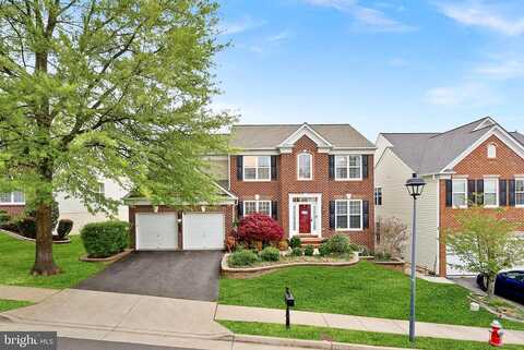 Douglas Fir, LORTON, VA 22079