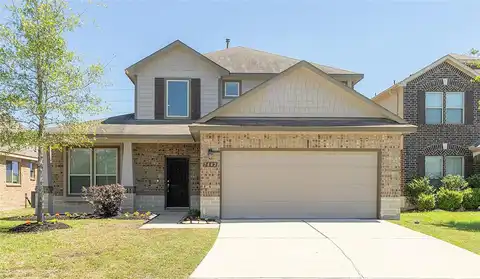 Cypress Shumard Oak, CYPRESS, TX 77433