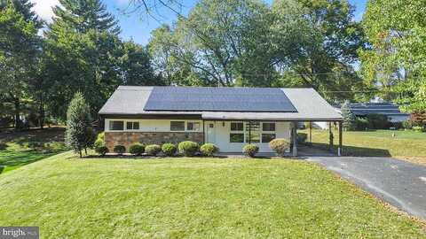 Madeline, MALVERN, PA 19355