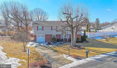 Willow, POTTSVILLE, PA 17901
