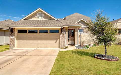 Arabian Colt, GEORGETOWN, TX 78626