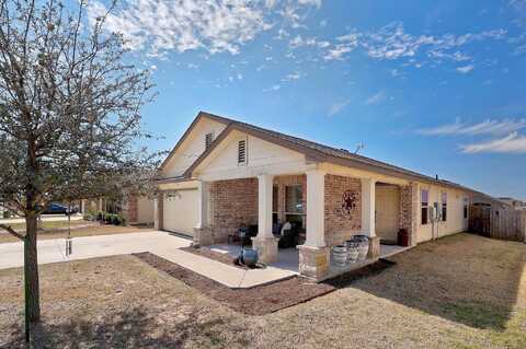 Ammonite, JARRELL, TX 76537