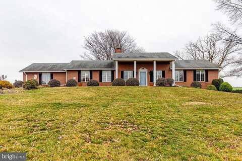 Lippizan, SHIPPENSBURG, PA 17257
