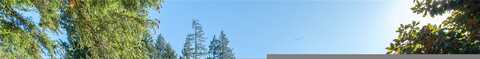 Carnine, CASTLE ROCK, WA 98611