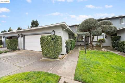 Redwood, CASTRO VALLEY, CA 94546