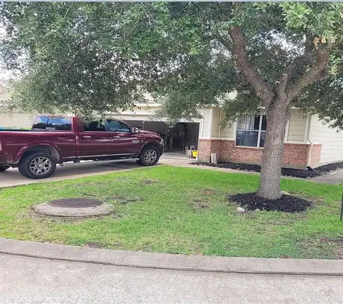 Wild Yaupon, CYPRESS, TX 77433